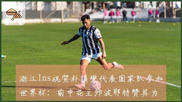 浙江Ins祝贺朴镇燮代表国家队参加世界杯:前申花主帅波耶特赞其为顶级队长